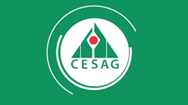 CESAG : Ouverture du concours d’entrée au Master en Sciences du Management et de la Décision (2025)