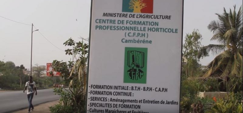 Sénégal – Concours d’Entrée au CFPH de Cambérène 2025 : Les Dépôts sont Ouverts